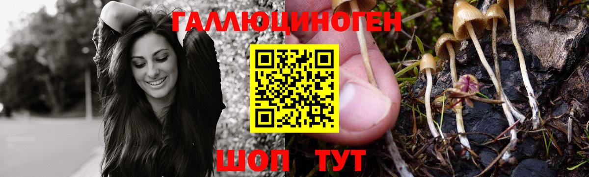 Псилоцибиновые грибы Magic Shrooms  Вход с VPN  Стрежевой 